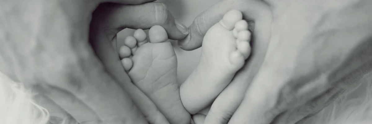 imagem_2021-09-29_154001